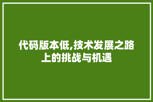 代码版本低,技术发展之路上的挑战与机遇