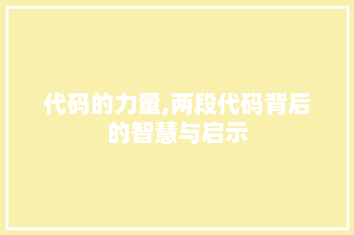 代码的力量,两段代码背后的智慧与启示