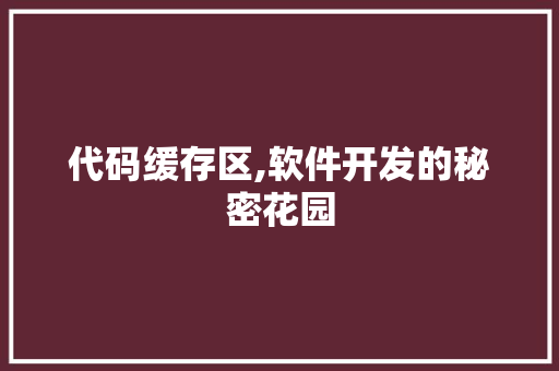 代码缓存区,软件开发的秘密花园