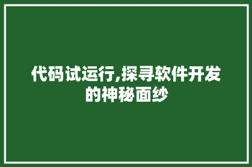 代码试运行,探寻软件开发的神秘面纱