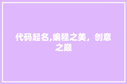 代码起名,编程之美，创意之巅