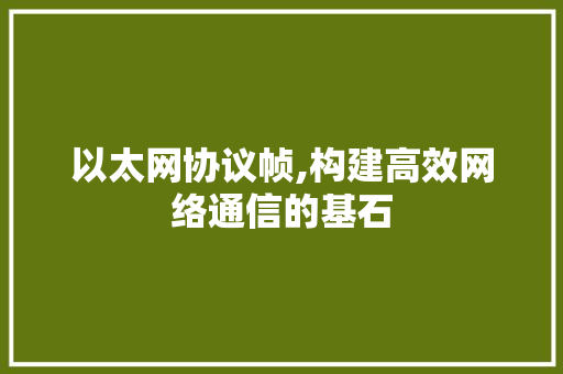 以太网协议帧,构建高效网络通信的基石