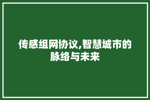 传感组网协议,智慧城市的脉络与未来