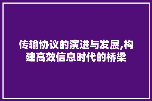传输协议的演进与发展,构建高效信息时代的桥梁