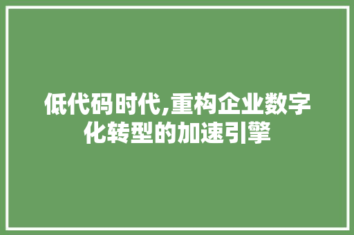 低代码时代,重构企业数字化转型的加速引擎