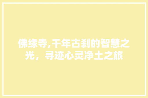 佛缘寺,千年古刹的智慧之光，寻迹心灵净土之旅