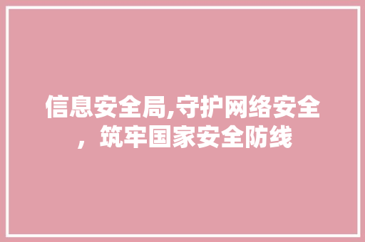 信息安全局,守护网络安全，筑牢国家安全防线