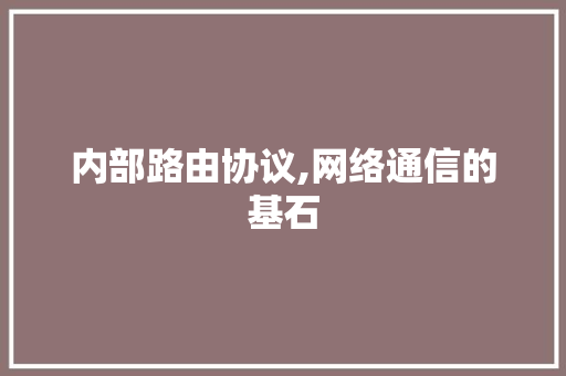 内部路由协议,网络通信的基石