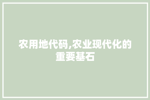 农用地代码,农业现代化的重要基石