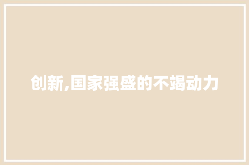 创新,国家强盛的不竭动力