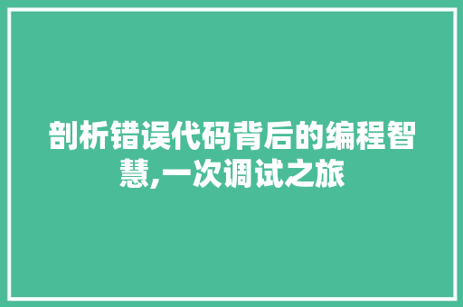 剖析错误代码背后的编程智慧,一次调试之旅