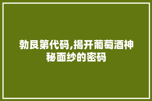 勃艮第代码,揭开葡萄酒神秘面纱的密码