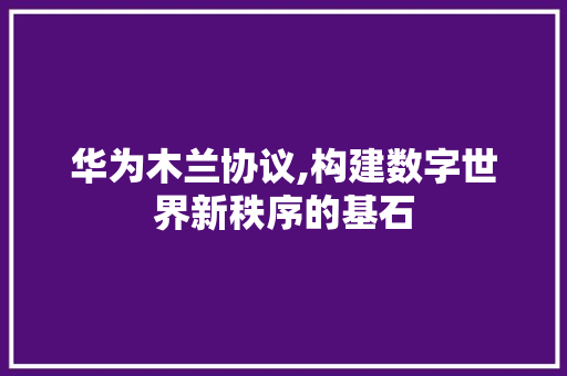 华为木兰协议,构建数字世界新秩序的基石