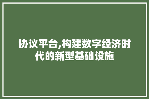 协议平台,构建数字经济时代的新型基础设施