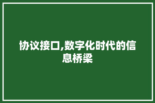 协议接口,数字化时代的信息桥梁