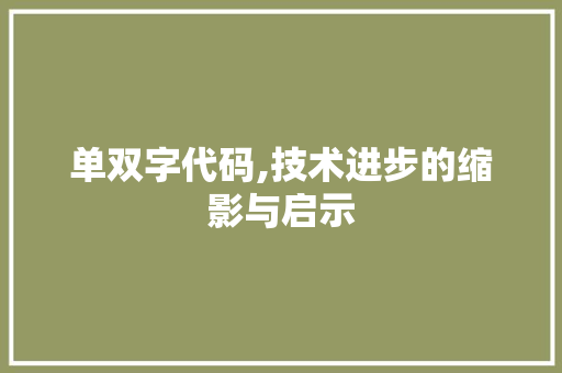 单双字代码,技术进步的缩影与启示