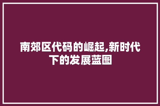 南郊区代码的崛起,新时代下的发展蓝图