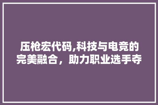 压枪宏代码,科技与电竞的完美融合，助力职业选手夺冠之路