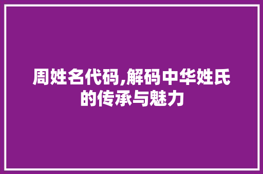 周姓名代码,解码中华姓氏的传承与魅力