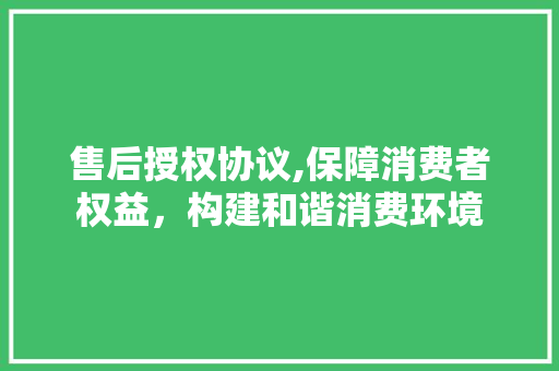 售后授权协议,保障消费者权益，构建和谐消费环境