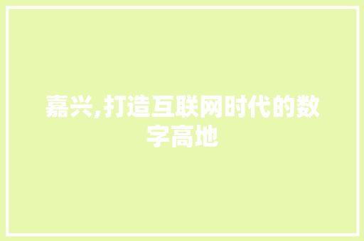 嘉兴,打造互联网时代的数字高地