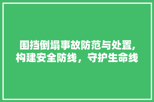 围挡倒塌事故防范与处置,构建安全防线，守护生命线