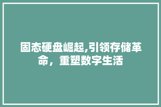 固态硬盘崛起,引领存储革命，重塑数字生活