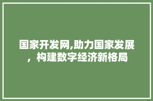 国家开发网,助力国家发展，构建数字经济新格局