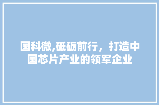 国科微,砥砺前行，打造中国芯片产业的领军企业