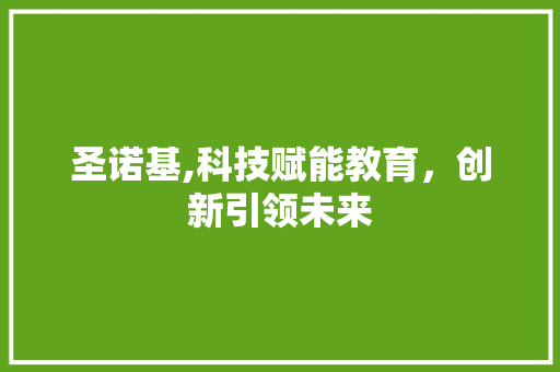 圣诺基,科技赋能教育，创新引领未来