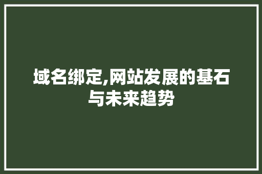 域名绑定,网站发展的基石与未来趋势