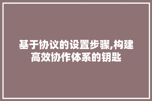 基于协议的设置步骤,构建高效协作体系的钥匙