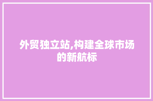 外贸独立站,构建全球市场的新航标