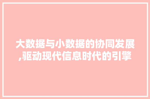 大数据与小数据的协同发展,驱动现代信息时代的引擎