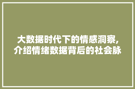 大数据时代下的情感洞察,介绍情绪数据背后的社会脉动