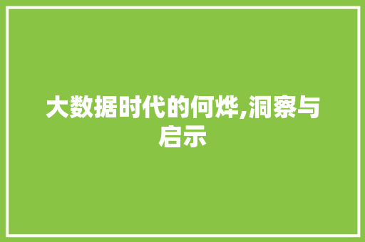 大数据时代的何烨,洞察与启示