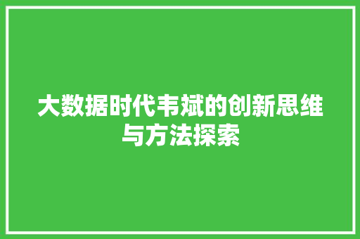 大数据时代韦斌的创新思维与方法探索