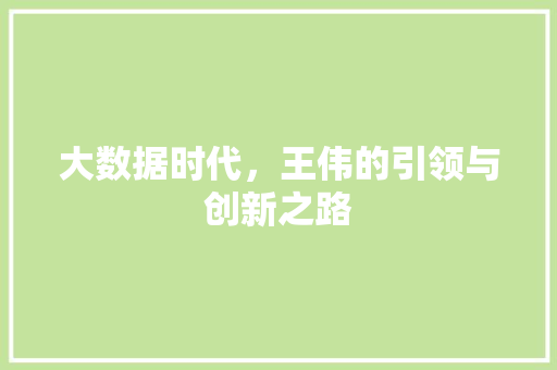大数据时代，王伟的引领与创新之路