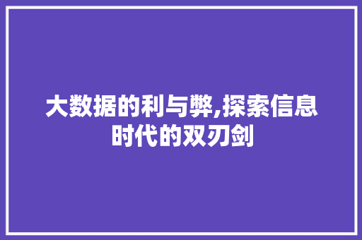 大数据的利与弊,探索信息时代的双刃剑