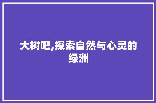 大树吧,探索自然与心灵的绿洲