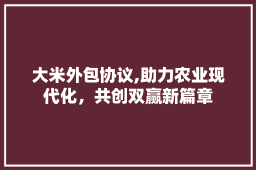 大米外包协议,助力农业现代化，共创双赢新篇章