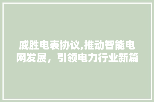 威胜电表协议,推动智能电网发展，引领电力行业新篇章