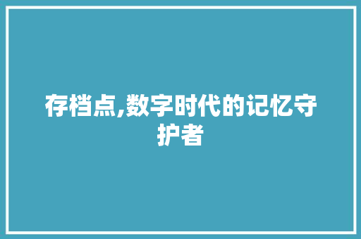 存档点,数字时代的记忆守护者