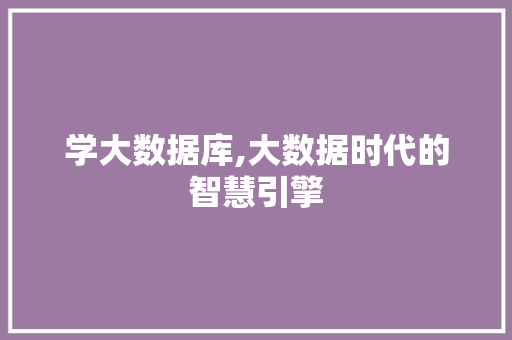学大数据库,大数据时代的智慧引擎