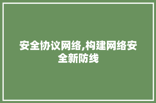 安全协议网络,构建网络安全新防线