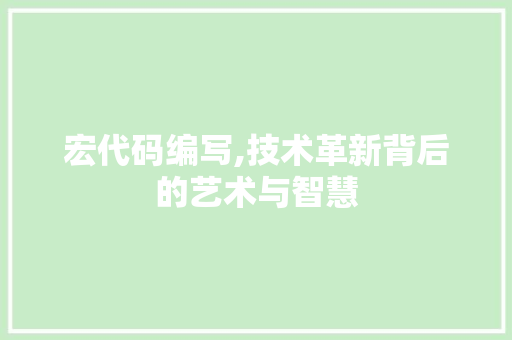 宏代码编写,技术革新背后的艺术与智慧
