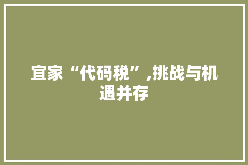 宜家“代码税”,挑战与机遇并存