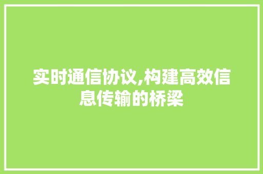 实时通信协议,构建高效信息传输的桥梁