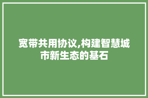 宽带共用协议,构建智慧城市新生态的基石