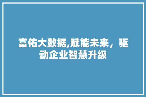 富佑大数据,赋能未来，驱动企业智慧升级